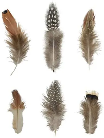 Mandala Crafts Chicken Natural Loose Feather for Dream Catchers, DIY Crafting, Jewelry Making, 1.25" to 4.25", 180 Pieces, 6 Colors