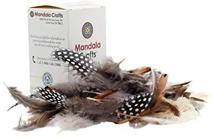 Mandala Crafts Chicken Natural Loose Feather for Dream Catchers, DIY Crafting, Jewelry Making, 1.25" to 4.25", 180 Pieces, 6 Colors