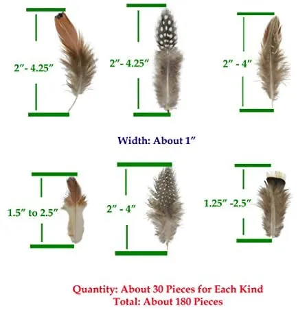 Mandala Crafts Chicken Natural Loose Feather for Dream Catchers, DIY Crafting, Jewelry Making, 1.25" to 4.25", 180 Pieces, 6 Colors