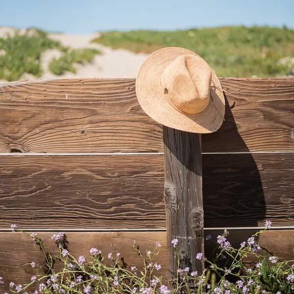 Sun 'N' Sand - Ian Fine Raffia Fedora Hat